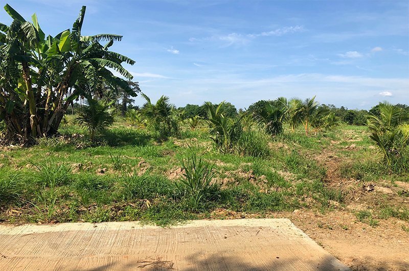 Land for Sale in Hua Hin (LFS0030) Arnold Property