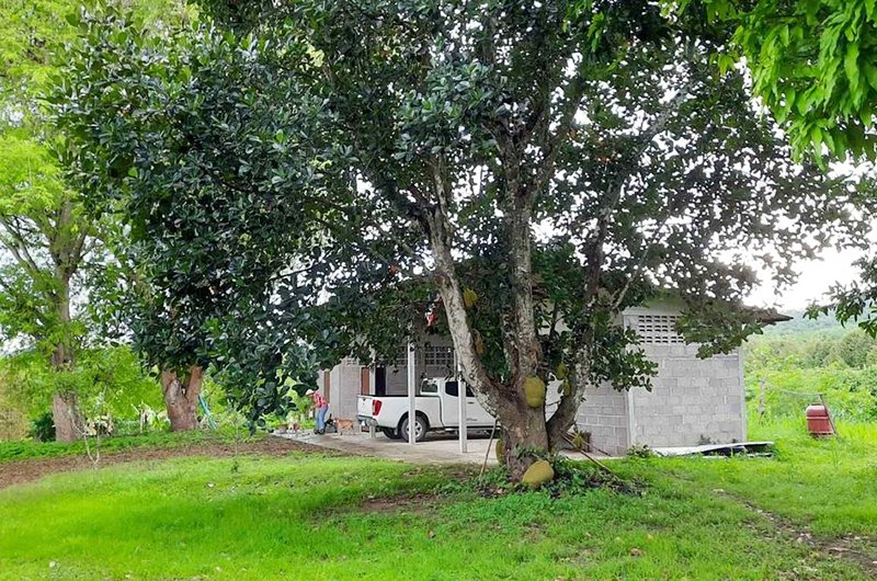 Land for Sale ,Phetchaburi River (LFS0124) Arnold Property