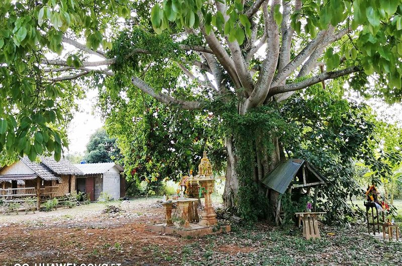 Land for Sale ,Phetchaburi River (LFS0124) Arnold Property